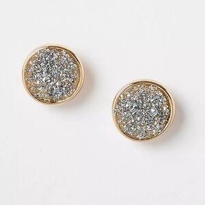 NWT LOFT Circle Stud Earrings